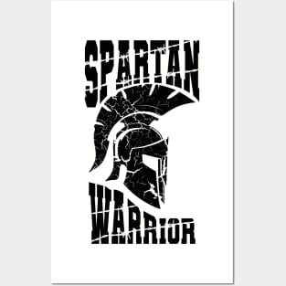 Spartan warrior Posters and Art